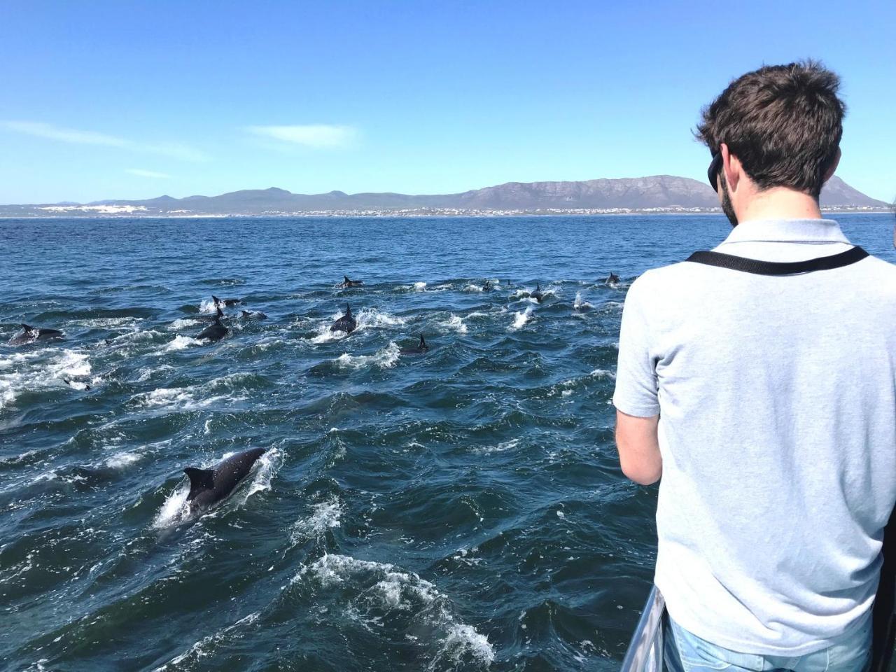 Апартаменты Whaletale Де-Келдерс Экстерьер фото